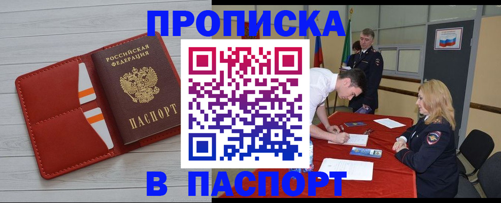 прописка гарантия в Заинске
